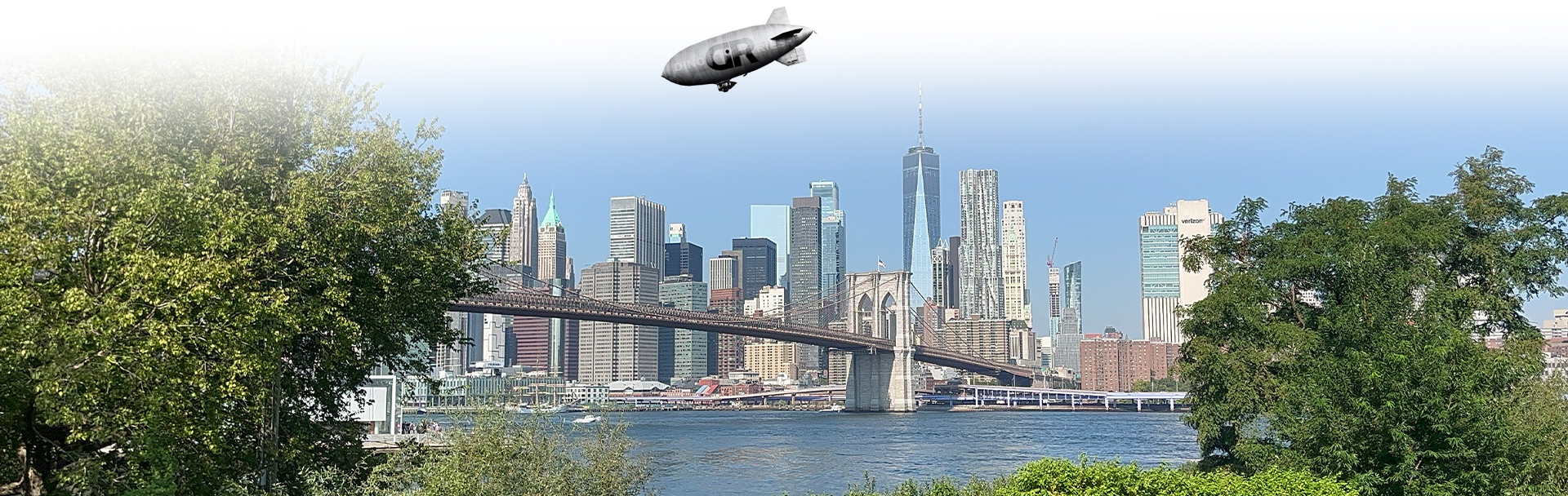 DinoRiese.com | Brooklyn, NY Website Design, SEO, & Web Hosting