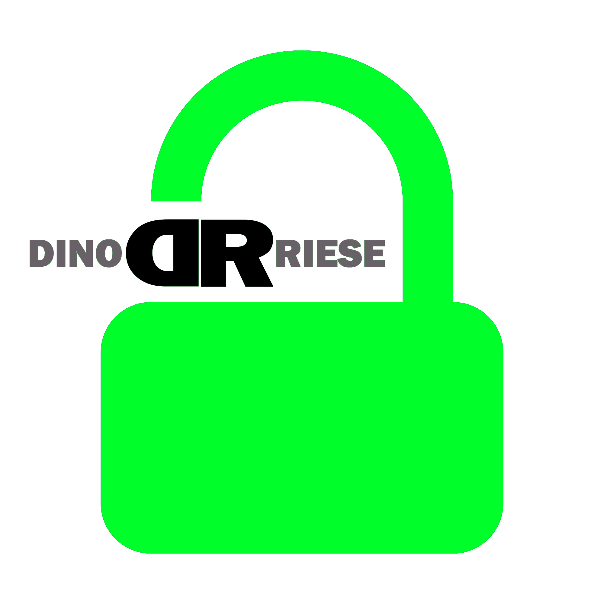 SSL Certificate Provider image | Brooklyn, NY DinoRiese.com